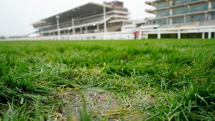 The ground at Cheltenham racecourse